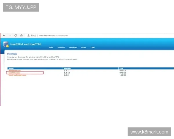 凯发真人版全站登录登录速度加快的实用技巧分享